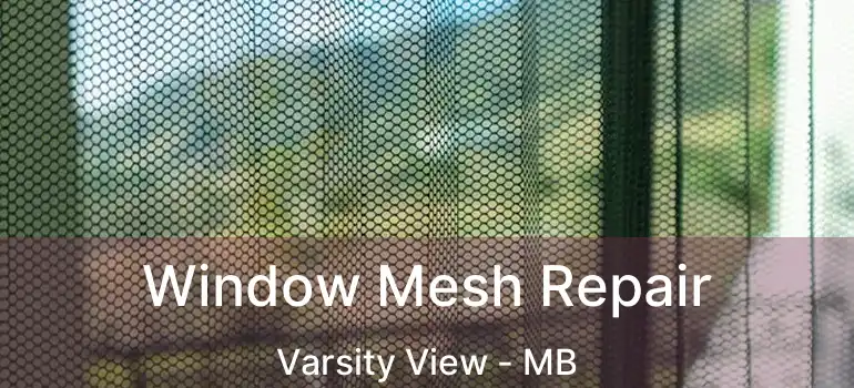  Window Mesh Repair Varsity View - MB