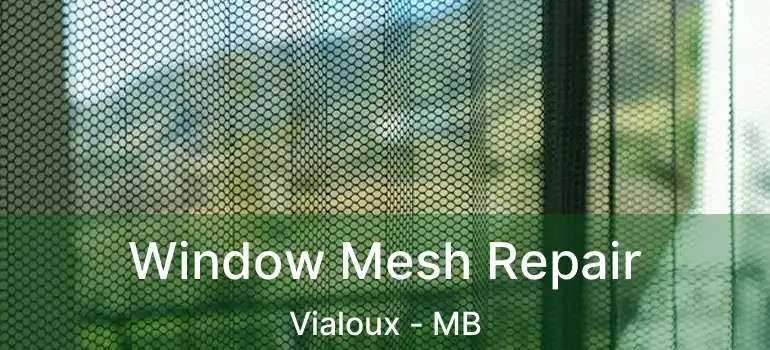  Window Mesh Repair Vialoux - MB