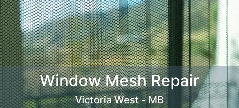 Window Mesh Repair Victoria West - MB