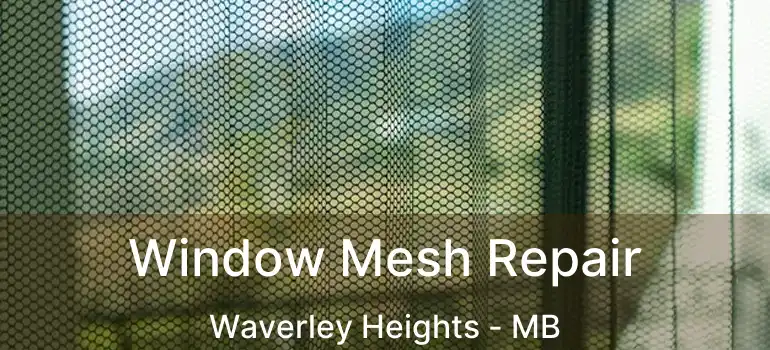  Window Mesh Repair Waverley Heights - MB