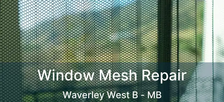  Window Mesh Repair Waverley West B - MB