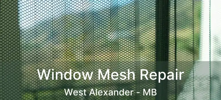  Window Mesh Repair West Alexander - MB