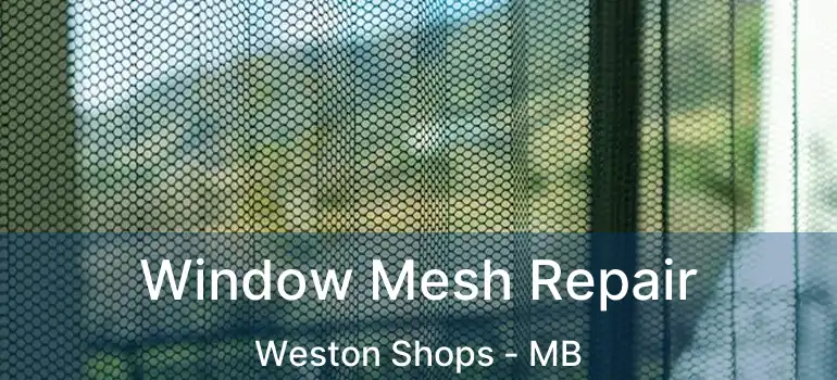  Window Mesh Repair Weston Shops - MB