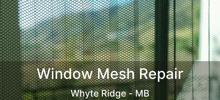  Window Mesh Repair Whyte Ridge - MB