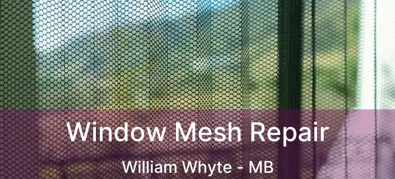  Window Mesh Repair William Whyte - MB