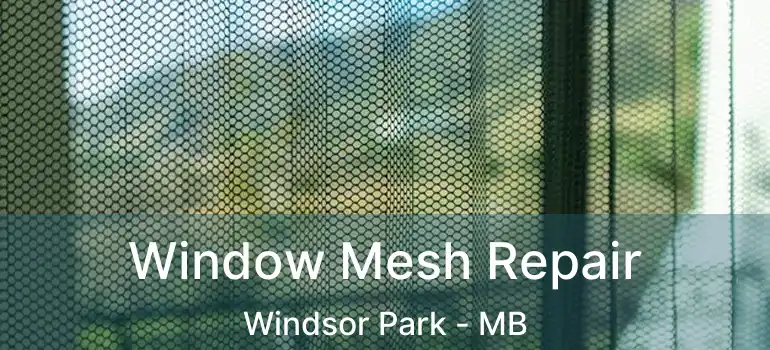  Window Mesh Repair Windsor Park - MB