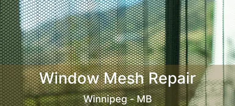  Window Mesh Repair Winnipeg - MB