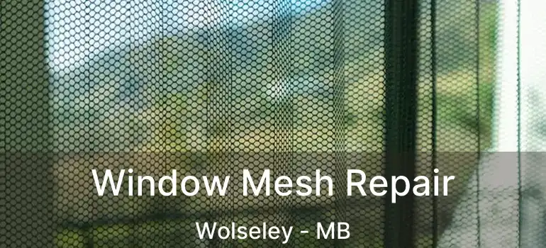  Window Mesh Repair Wolseley - MB