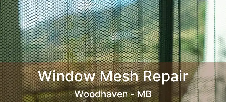  Window Mesh Repair Woodhaven - MB
