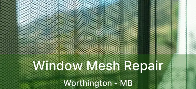  Window Mesh Repair Worthington - MB