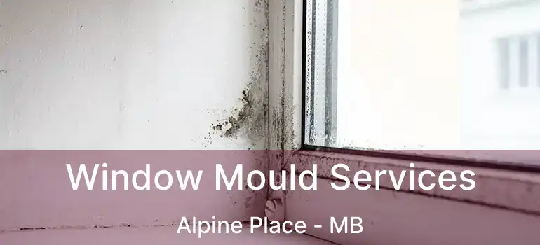  Window Mould Services Alpine Place - MB