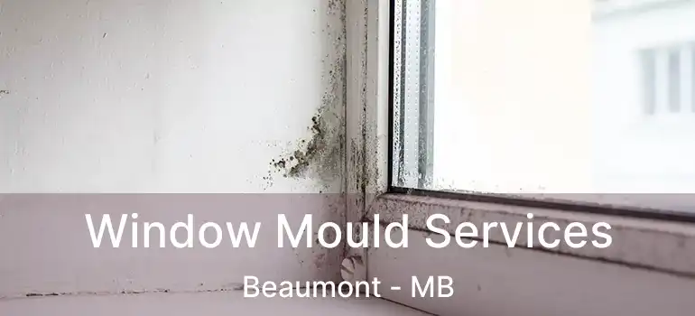  Window Mould Services Beaumont - MB