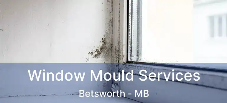  Window Mould Services Betsworth - MB
