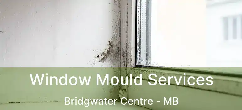  Window Mould Services Bridgwater Centre - MB