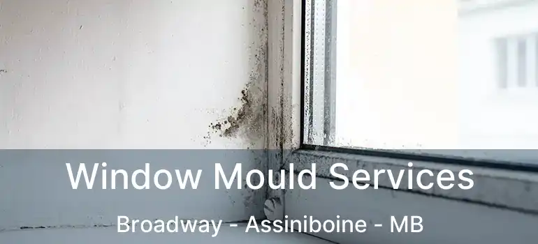  Window Mould Services Broadway - Assiniboine - MB
