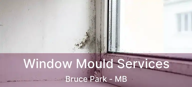  Window Mould Services Bruce Park - MB