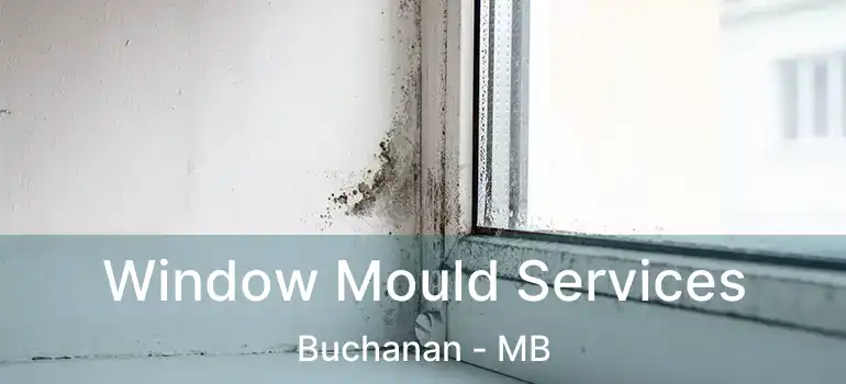  Window Mould Services Buchanan - MB