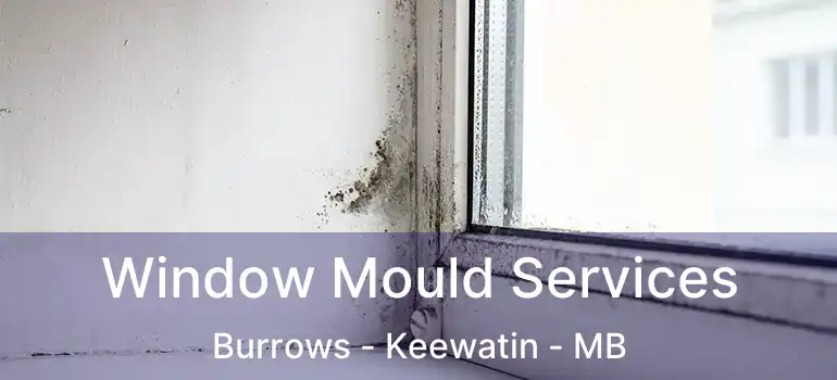  Window Mould Services Burrows - Keewatin - MB