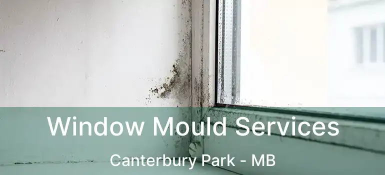  Window Mould Services Canterbury Park - MB