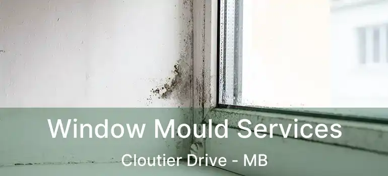  Window Mould Services Cloutier Drive - MB