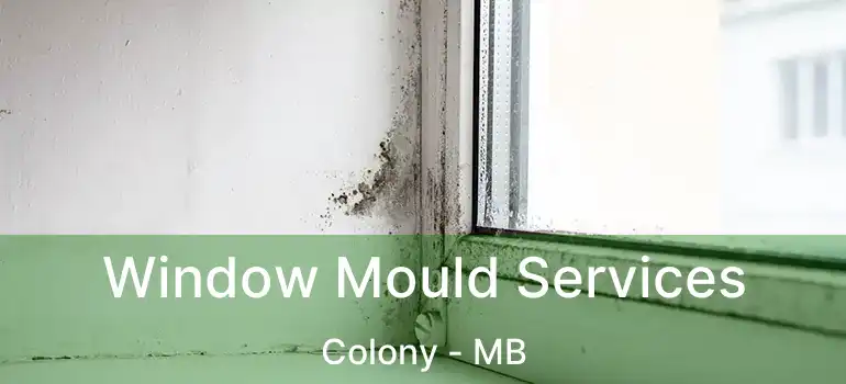  Window Mould Services Colony - MB