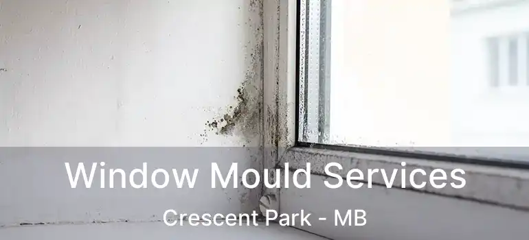 Window Mould Services Crescent Park - MB