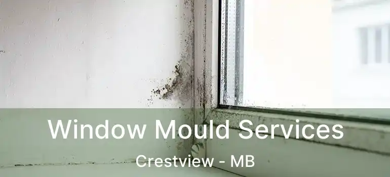  Window Mould Services Crestview - MB