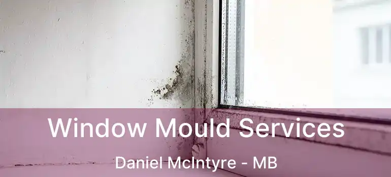  Window Mould Services Daniel McIntyre - MB