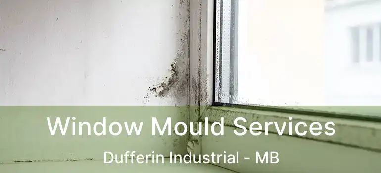  Window Mould Services Dufferin Industrial - MB