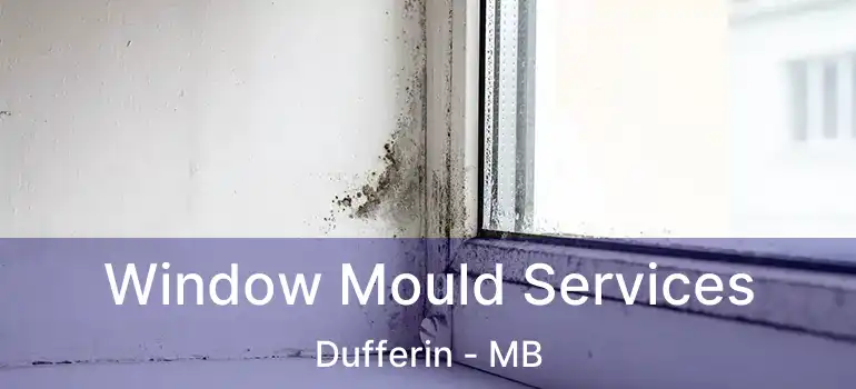  Window Mould Services Dufferin - MB