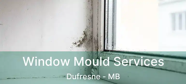  Window Mould Services Dufresne - MB