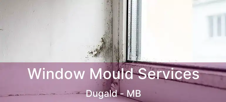  Window Mould Services Dugald - MB