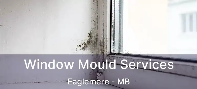 Window Mould Services Eaglemere - MB