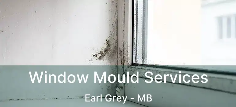  Window Mould Services Earl Grey - MB
