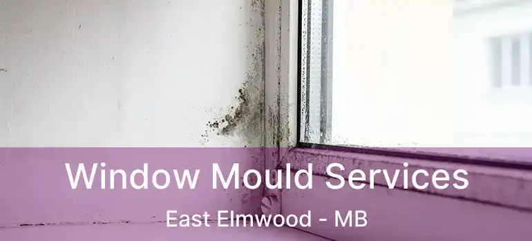  Window Mould Services East Elmwood - MB