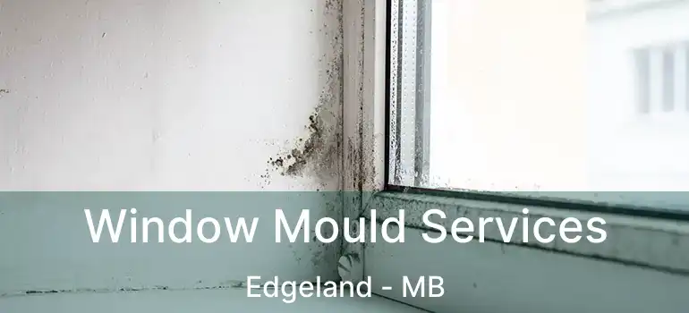  Window Mould Services Edgeland - MB