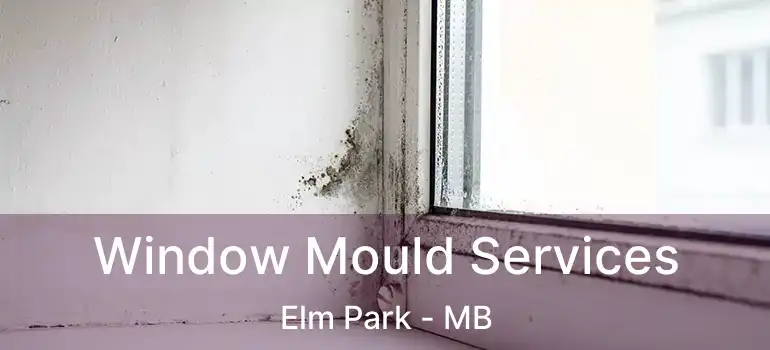  Window Mould Services Elm Park - MB