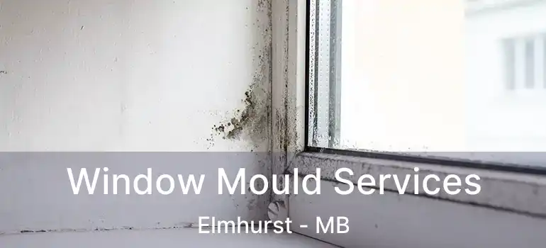  Window Mould Services Elmhurst - MB