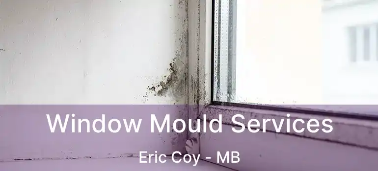  Window Mould Services Eric Coy - MB