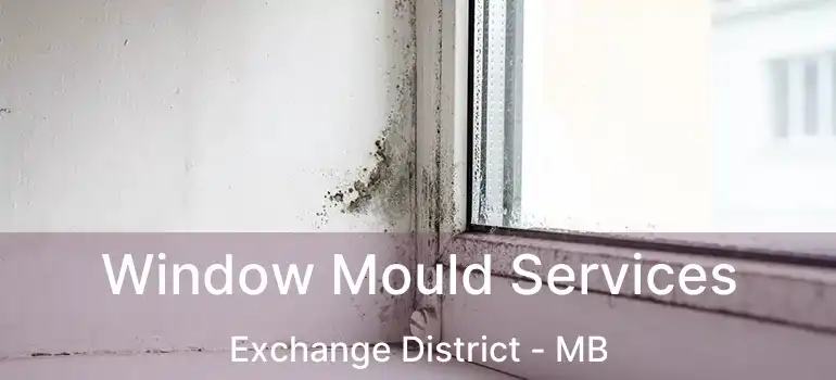  Window Mould Services Exchange District - MB