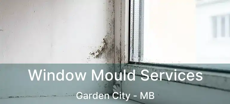  Window Mould Services Garden City - MB