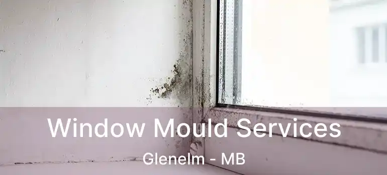  Window Mould Services Glenelm - MB