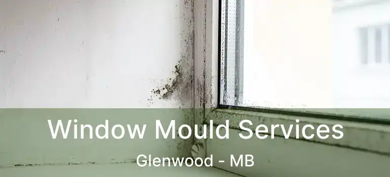  Window Mould Services Glenwood - MB