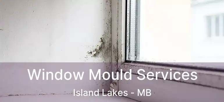  Window Mould Services Island Lakes - MB