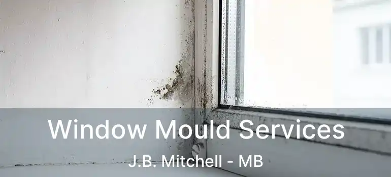  Window Mould Services J.B. Mitchell - MB