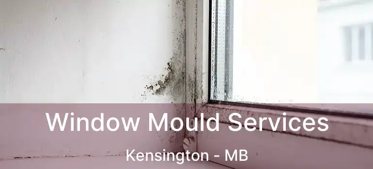  Window Mould Services Kensington - MB