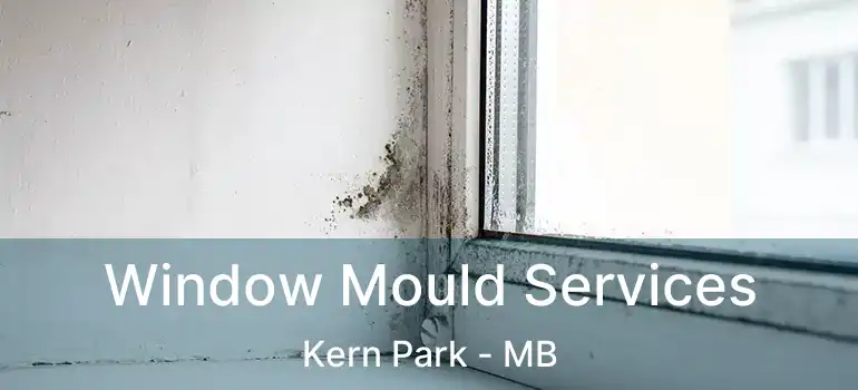  Window Mould Services Kern Park - MB