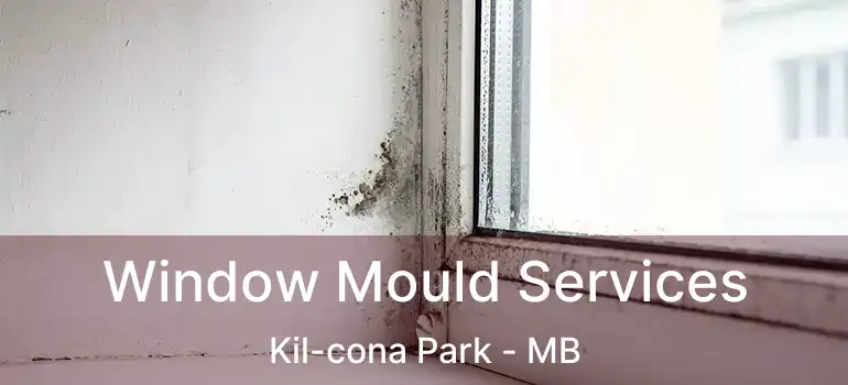  Window Mould Services Kil-cona Park - MB