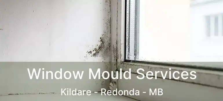  Window Mould Services Kildare - Redonda - MB