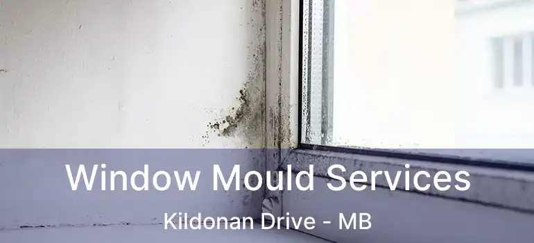  Window Mould Services Kildonan Drive - MB